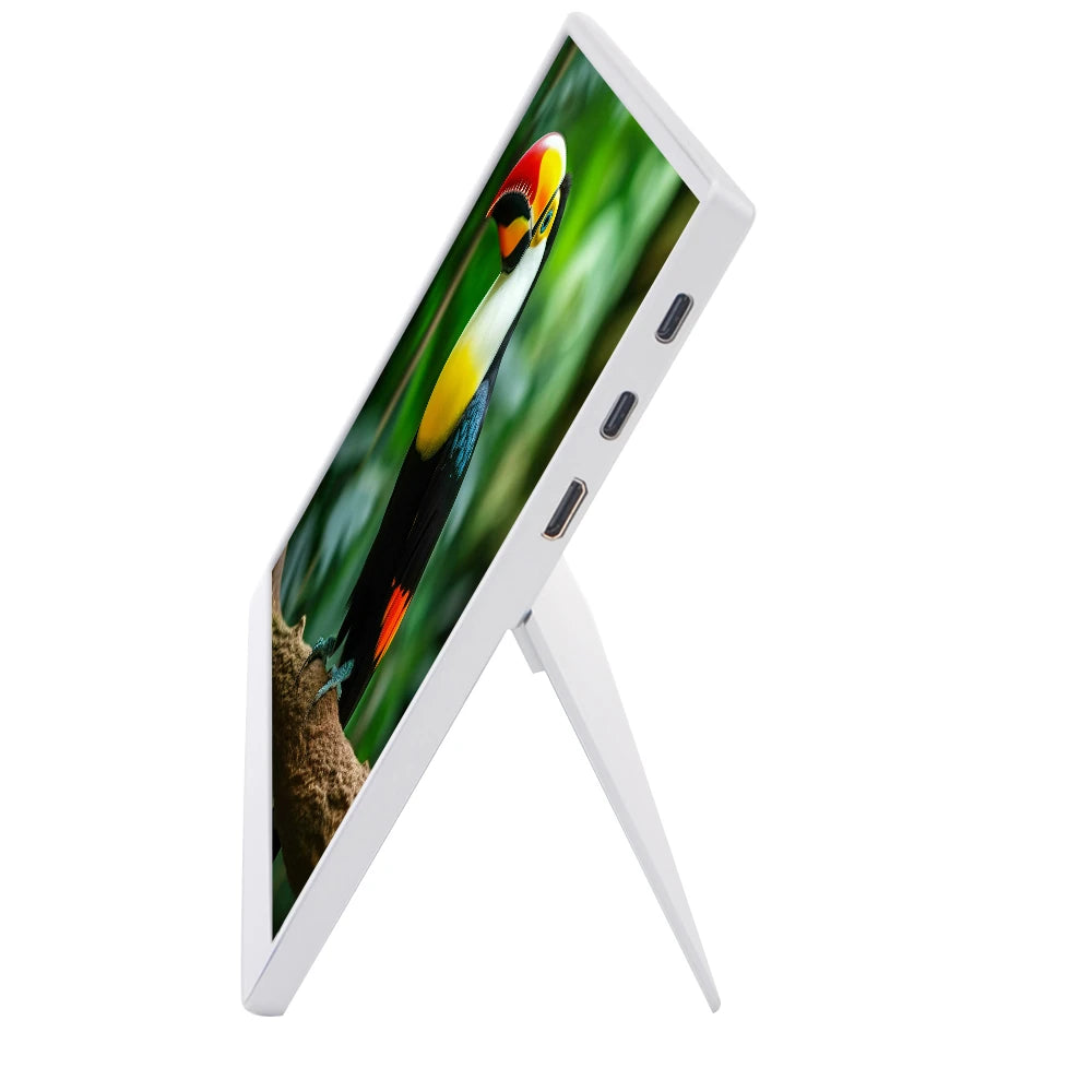 HAILESI 10.5 Inch FHD 1280P Portable Monitor Computer Gaming Display USB C External Screen for Smartphone Tablet Laptop Game Consoles
